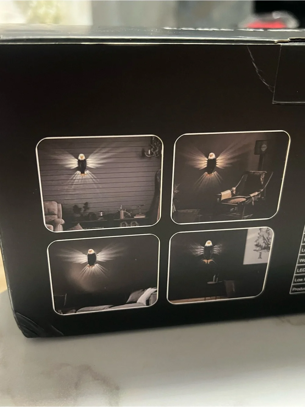 Eagle Wall Light - Black Accent Eagle Light